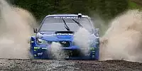 Petter Solberg