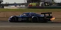 Scuderia Playteam SaraFree