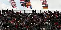 DTM-Fans