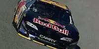Brian Vickers