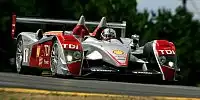 Bild zum Inhalt: Audi: ALMS-Start 2008 noch nicht entschieden
