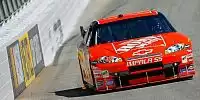 Tony Stewart
