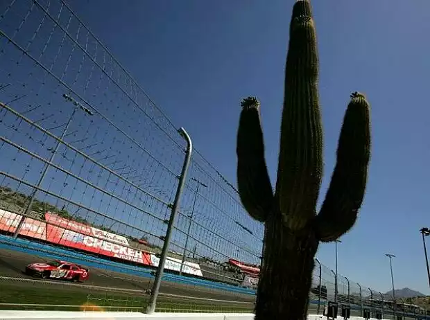 Phoenix Arizona Titel-Bild zur News: Phoenix Arizona