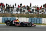 David Coulthard (Red Bull) 