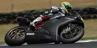 Troy Bayliss