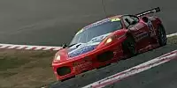 Bild zum Inhalt: FIA-GT: Scuderia Ecosse greift an