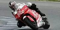 Alice-Ducati