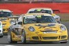 Bild zum Inhalt: Porsche-Supercup: Armindo und Mangs bei tolimit
