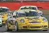 Bild zum Inhalt: Porsche-Supercup: Armindo und Mangs bei tolimit