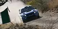 Petter Solberg