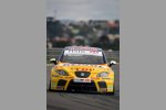 Tiago Monteiro (SEAT) 