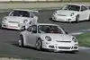 Bild zum Inhalt: Porsche: 25.000 PS in Hockenheim