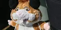 Hamster