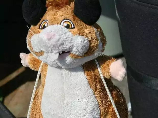 Hamster Titel-Bild zur News: Hamster