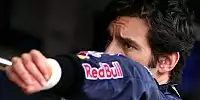 Bild zum Inhalt: Webber freut sich auf Alonso vs. Hamilton