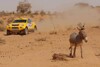 Bild zum Inhalt: Dakar-Rallye vor Rückkehr nach Afrika?