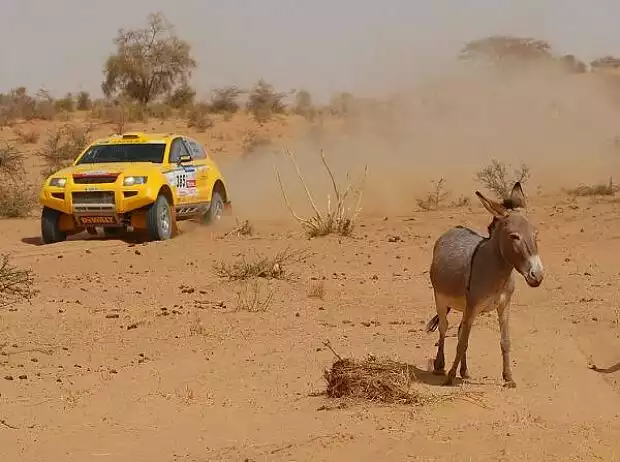 Esel bei der Rallye Dakar Titel-Bild zur News: Esel bei der Rallye Dakar