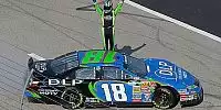 Kyle Busch