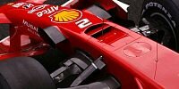 Ferrari-Nase