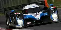Stephan Sarrazin