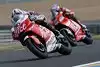 Bild zum Inhalt: Alice-Ducatis unter ferner liefen