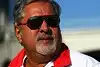 Bild zum Inhalt: Mallya über die "indische Chance"