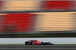 Sebastian Vettel (Toro Rosso) 