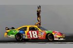 Kyle Busch 