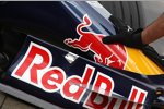 Mark Webber (Red Bull) 