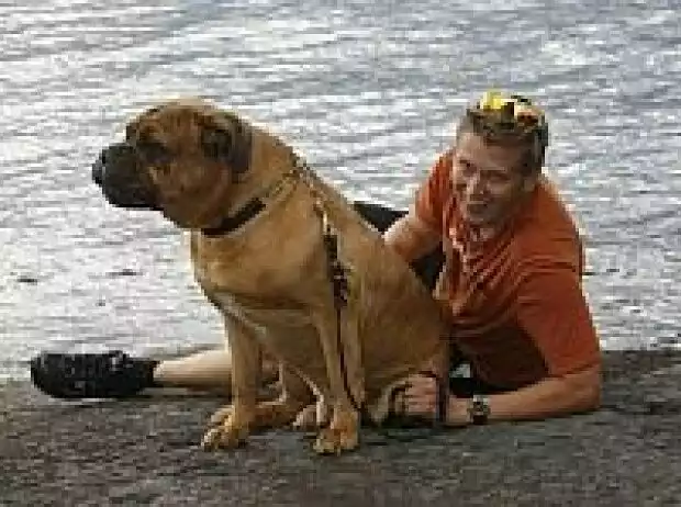 Toni Gardemeister Titel-Bild zur News: Toni Gardemeister