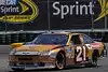 Bild zum Inhalt: Offiziell: Ambrose 2009 im Sprint-Cup