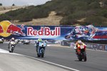 Nicky Hayden (Honda) 