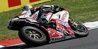 Troy Bayliss