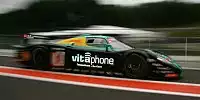 Bartels/van der Poele/Sarrazin