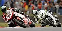 Troy Bayliss