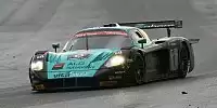 Andrea Bertolini