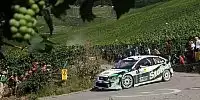 Gigi Galli