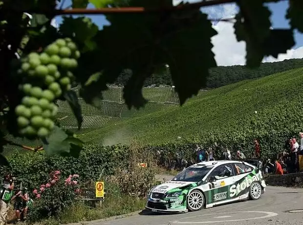Gigi Galli Titel-Bild zur News: Gigi Galli