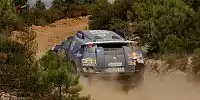 Carlos Sainz