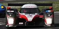 Bild zum Inhalt: Peugeot mit einem 908 zum Petit-Le-Mans