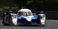 Stéphane Sarrazin, Pedro Lamy