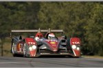  Audi Sport