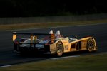 Audi Sport