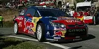 Bild zum Inhalt: SS6: Loeb in Korsika nicht zu schlagen