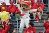 Bild zum Inhalt: Toyota: 2011 Le Mans statt Formel 1?