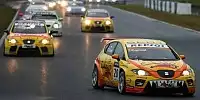 Tom Coronel