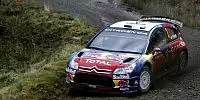 Daniel Sordo
