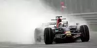 Bild zum Inhalt: Das war 2008: Toro Rosso