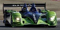 Bild zum Inhalt: Brabham mit Acura in Le Mans?
