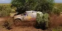 Carlos Sainz